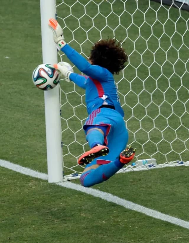 Ochoa 2014